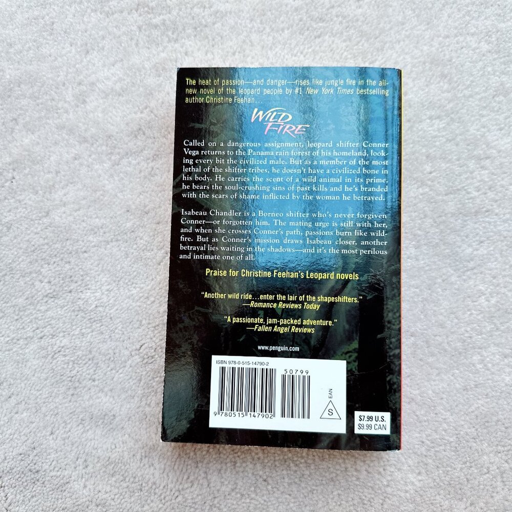 Wild Fire by Christine Feehan | Paperback Book - Picture 3 of 4